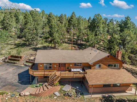 Tiny photo for 2809 Edlowe Road, Woodland Park, CO 80863 (MLS # 2776644)