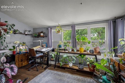 Tiny photo for 803 N Walnut Street, Colorado Springs, CO 80905 (MLS # 4573213)