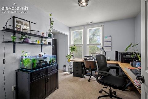 Tiny photo for 803 N Walnut Street, Colorado Springs, CO 80905 (MLS # 4573213)