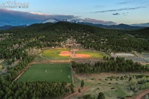 Tiny photo for 1300 Thomas Circle, Woodland Park, CO 80863 (MLS # 4391484)