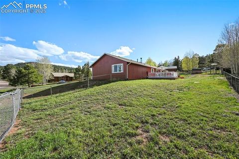Tiny photo for 1300 Thomas Circle, Woodland Park, CO 80863 (MLS # 4391484)