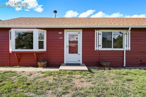 Tiny photo for 1300 Thomas Circle, Woodland Park, CO 80863 (MLS # 4391484)