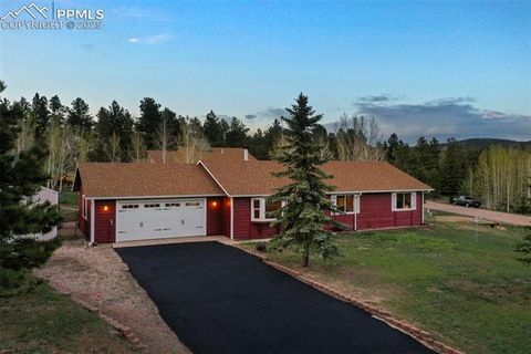 Tiny photo for 1300 Thomas Circle, Woodland Park, CO 80863 (MLS # 4391484)
