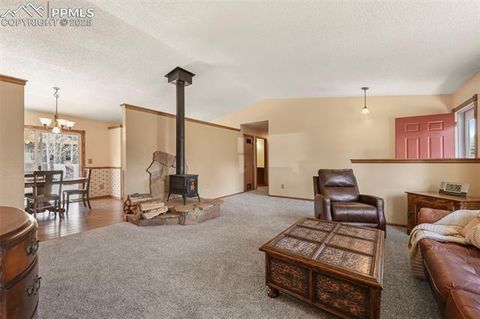 Tiny photo for 1300 Thomas Circle, Woodland Park, CO 80863 (MLS # 4391484)
