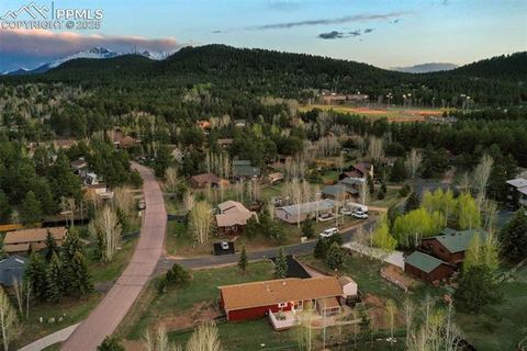 Tiny photo for 1300 Thomas Circle, Woodland Park, CO 80863 (MLS # 4391484)