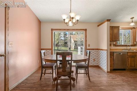 Tiny photo for 1300 Thomas Circle, Woodland Park, CO 80863 (MLS # 4391484)