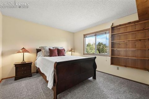 Tiny photo for 1300 Thomas Circle, Woodland Park, CO 80863 (MLS # 4391484)