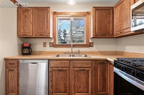 Tiny photo for 1300 Thomas Circle, Woodland Park, CO 80863 (MLS # 4391484)