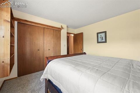 Tiny photo for 1300 Thomas Circle, Woodland Park, CO 80863 (MLS # 4391484)
