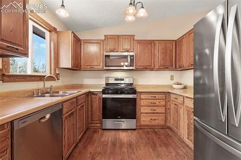 Tiny photo for 1300 Thomas Circle, Woodland Park, CO 80863 (MLS # 4391484)