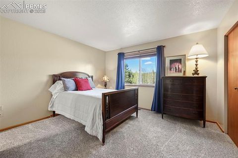 Tiny photo for 1300 Thomas Circle, Woodland Park, CO 80863 (MLS # 4391484)