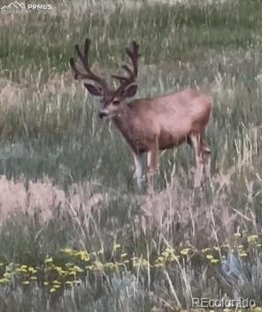 TBD S State Highway 83