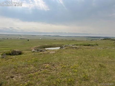 Photo of S Highway 83, Franktown, CO 80116 (MLS # 7346330)