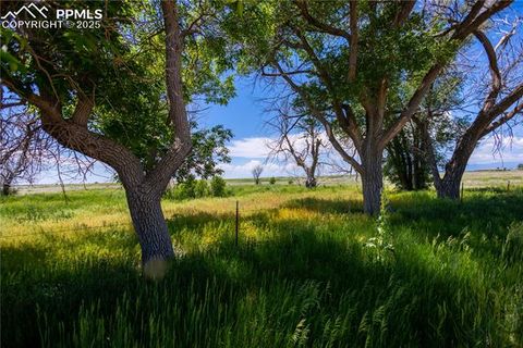 Photo of 23655 E Garrett Road, Calhan, CO 80808 (MLS # 2355823)