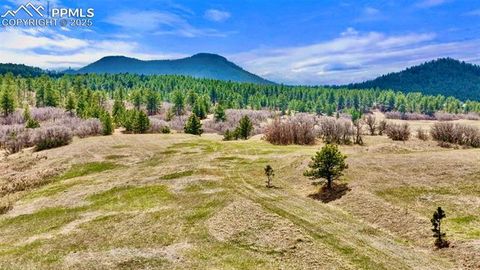2 Perry Park Road Larkspur CO 80118