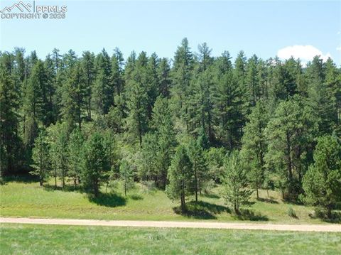 Photo of 4668 Comanche Drive, Larkspur, CO 80118 (MLS # 4648853)