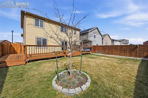 Tiny photo for 6266 Pilgrimage Road, Colorado Springs, CO 80925 (MLS # 6753106)