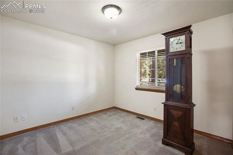 Tiny photo for 310 Evergreen Street, Woodland Park, CO 80863 (MLS # 9292209)