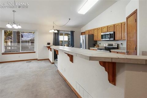 Tiny photo for 310 Evergreen Street, Woodland Park, CO 80863 (MLS # 9292209)