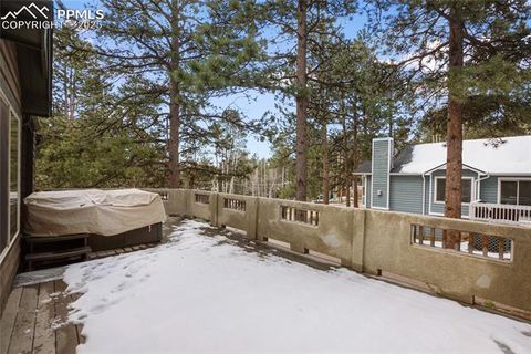 Tiny photo for 310 Evergreen Street, Woodland Park, CO 80863 (MLS # 9292209)