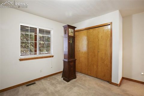 Tiny photo for 310 Evergreen Street, Woodland Park, CO 80863 (MLS # 9292209)