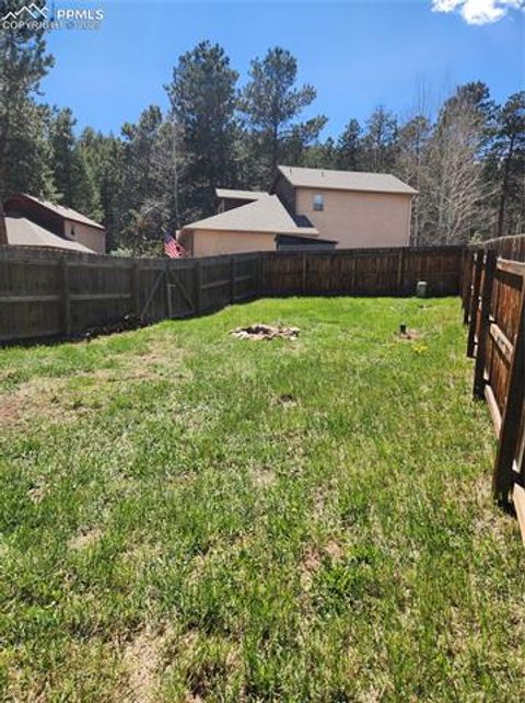 Tiny photo for 310 Evergreen Street, Woodland Park, CO 80863 (MLS # 9292209)