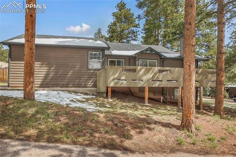 Tiny photo for 310 Evergreen Street, Woodland Park, CO 80863 (MLS # 9292209)