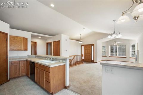 Tiny photo for 310 Evergreen Street, Woodland Park, CO 80863 (MLS # 9292209)