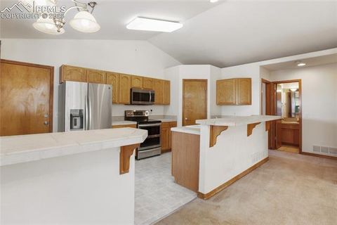 Tiny photo for 310 Evergreen Street, Woodland Park, CO 80863 (MLS # 9292209)