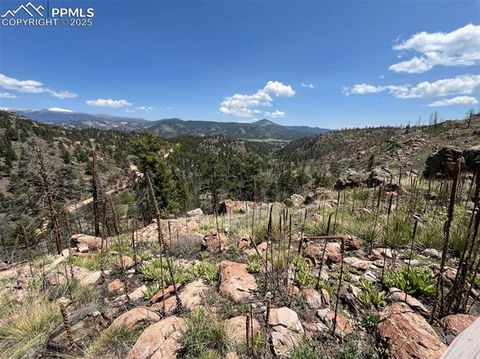 Photo of 160 Chateau West Drive, Florissant, CO 80816 (MLS # 4012944)