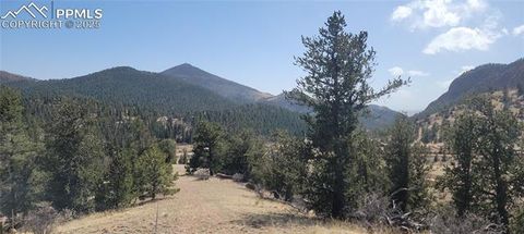 Photo of 191 Portland Drive, Cripple Creek, CO 80813 (MLS # 2414093)