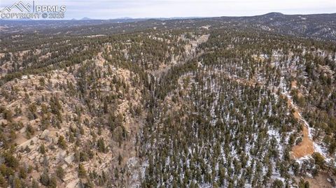 Photo of 33883410 N Mountain Estates Road, Florissant, CO 80816 (MLS # 3590534)