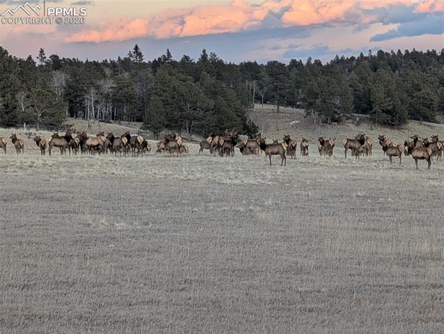 284 County Road 511 Road