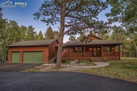 284 County Road 511 Road Divide CO 80814