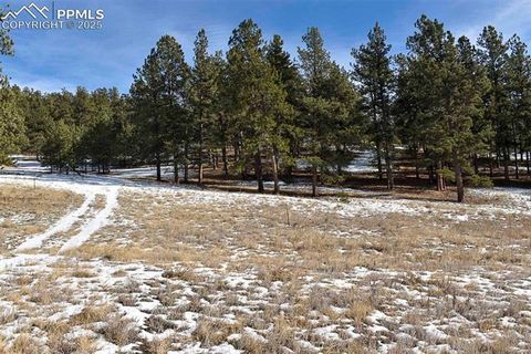 Photo of 000 6th Street, Guffey, CO 80820 (MLS # 2608032)
