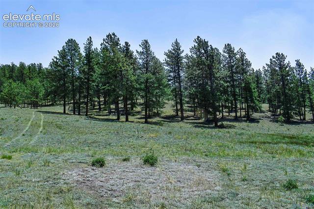 Photo 1 of 31 — 6th Street, Guffey, CO 80820