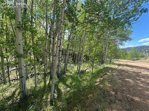 Photo of 524 Buckhorn Road, Cripple Creek, CO 80813 (MLS # 5525593)