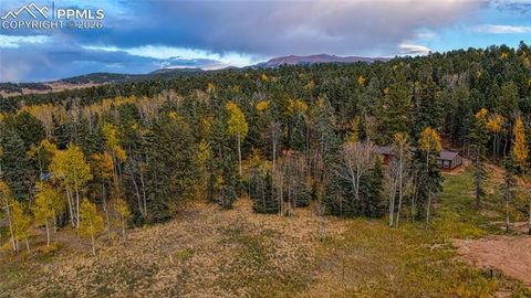Photo of 166 Denwood Drive, Florissant, CO 80816 (MLS # 7104612)