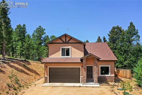 Photo of 71 Mt Elbert Drive, Florissant, CO 80816 (MLS # 7088376)
