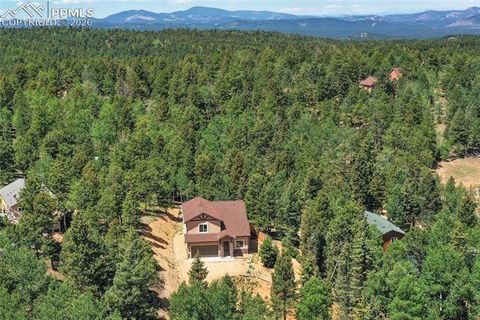 Tiny photo for 71 Mt Elbert Drive, Florissant, CO 80816 (MLS # 7088376)