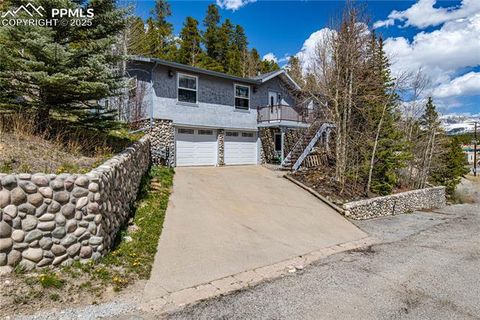 1803 Ridgeview Drive Leadville CO 80461