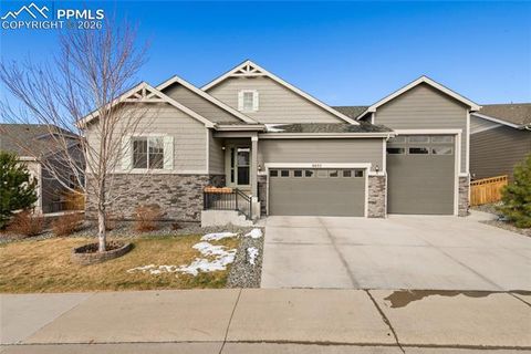 Photo of 6655 Mentha Drive, Castle Rock, CO 80108 (MLS # 3171587)