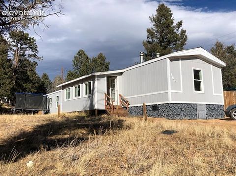 Photo of 169 Daisy Street, Woodland Park, CO 80863 (MLS # 1251036)
