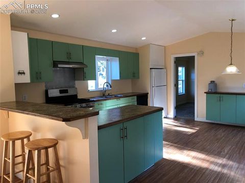 Tiny photo for 169 Daisy Street, Woodland Park, CO 80863 (MLS # 1251036)