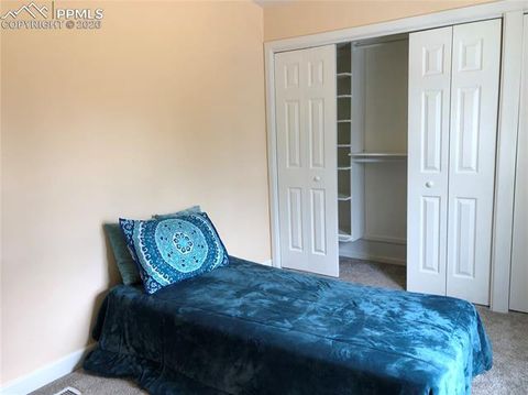 Tiny photo for 169 Daisy Street, Woodland Park, CO 80863 (MLS # 1251036)