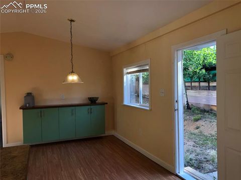 Tiny photo for 169 Daisy Street, Woodland Park, CO 80863 (MLS # 1251036)