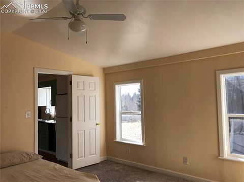 Tiny photo for 169 Daisy Street, Woodland Park, CO 80863 (MLS # 1251036)