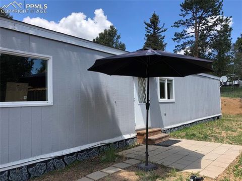 Tiny photo for 169 Daisy Street, Woodland Park, CO 80863 (MLS # 1251036)