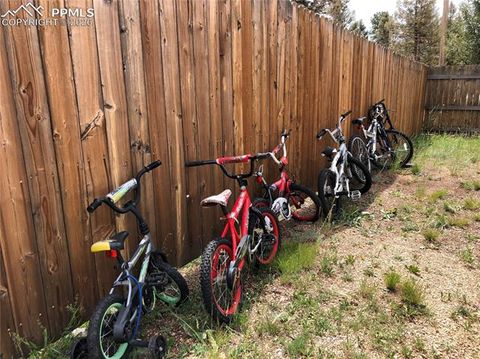 Tiny photo for 169 Daisy Street, Woodland Park, CO 80863 (MLS # 1251036)