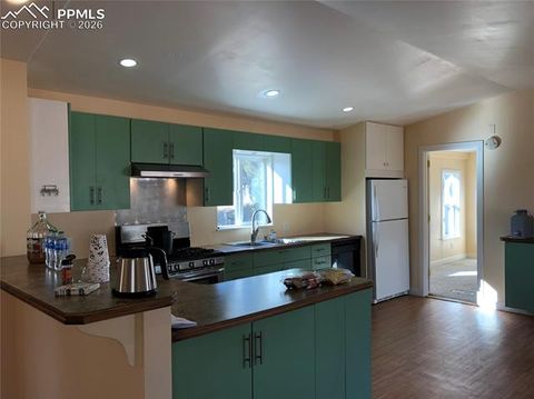 Tiny photo for 169 Daisy Street, Woodland Park, CO 80863 (MLS # 1251036)